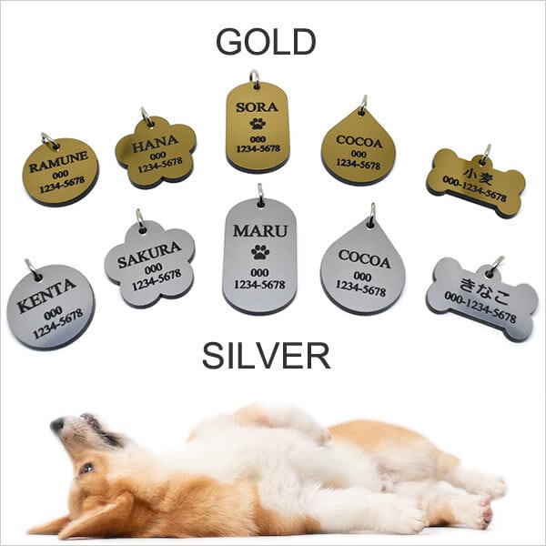 軽い！アクリル製ペット用迷子札 | ＜お名前入りPetGoods＞shizuku