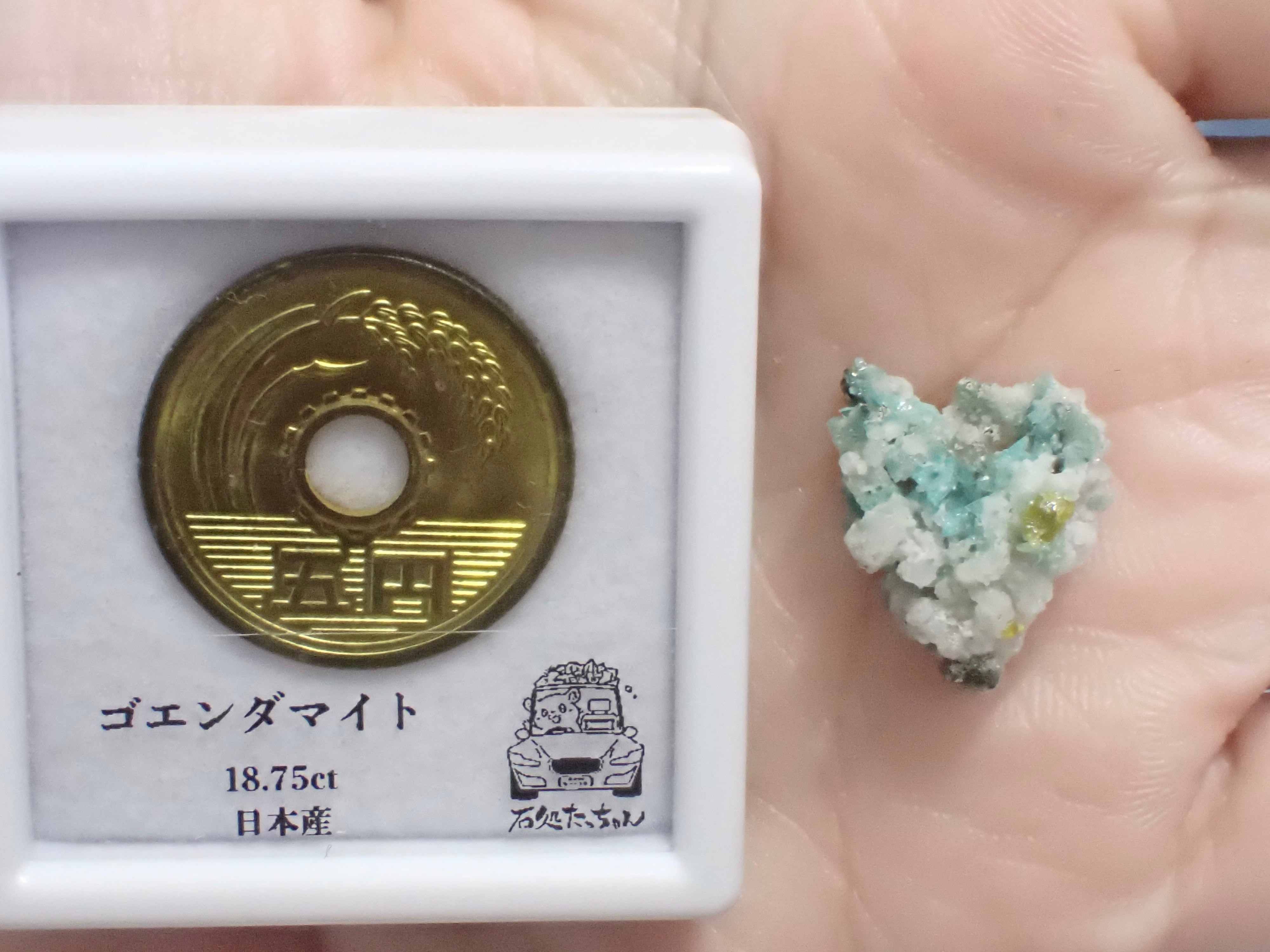 希少鉱物】 ボルカライト 硼灰石 カルサイト 方解石 原石 標本 No234