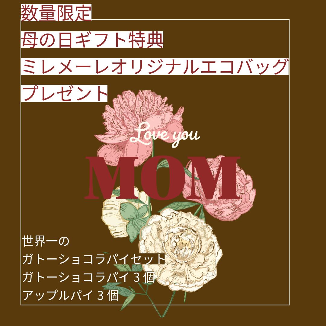 ★母の日ギフト★世界一のガトーショコラパイセット①(ガトーショコラパイ3個・アップルパイ3個)