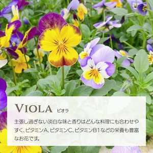 【エディブルフラワー】詰め合わせ・化学肥料/農薬不使用の安心して食べられるお花　20輪