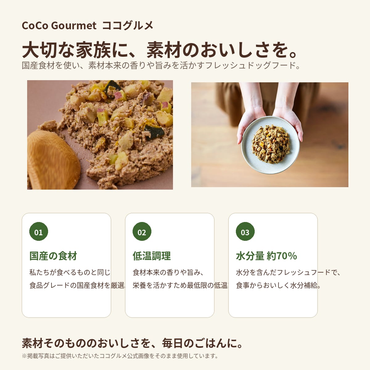 冷凍フード】ココグルメ 冷凍 100g 犬用 フレッシュフード 総合栄養食