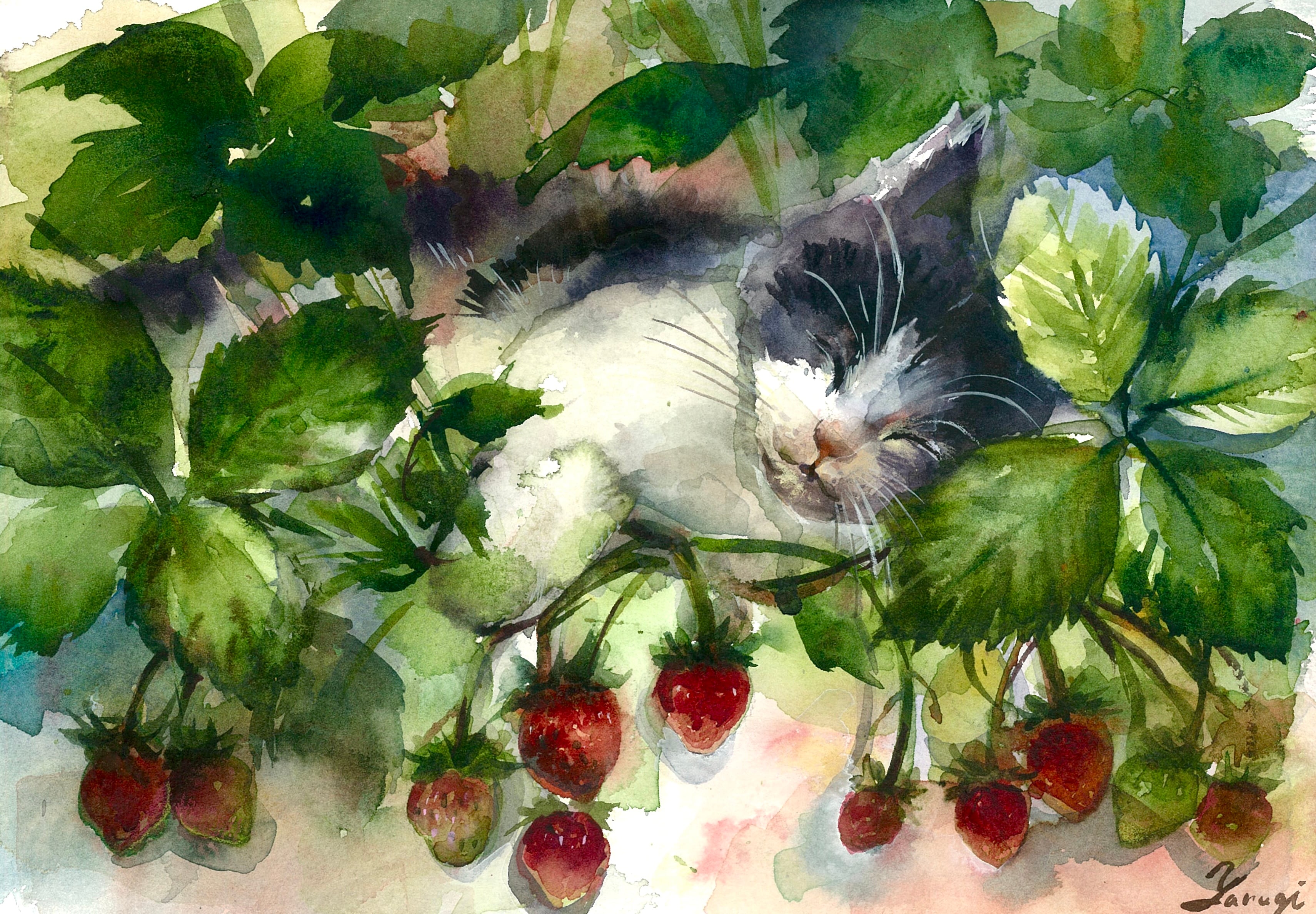 水彩画 原画 いちご畑の猫 | yanagi