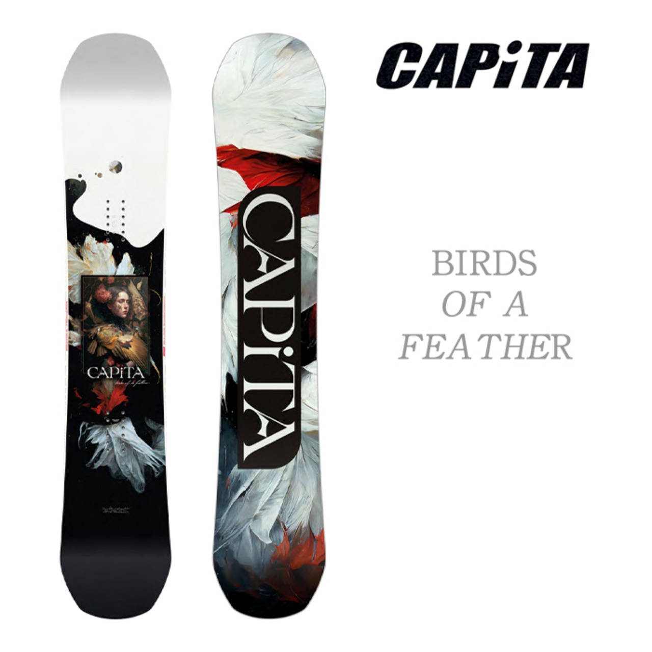 Capita Snowboarding 2024-2025 『 Birds of a Feather 』 キャピタ  