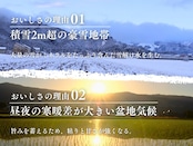 【日本で0.1%の希少米】南魚沼「旧塩沢産」限定 コシヒカリ 5kg 玄米
