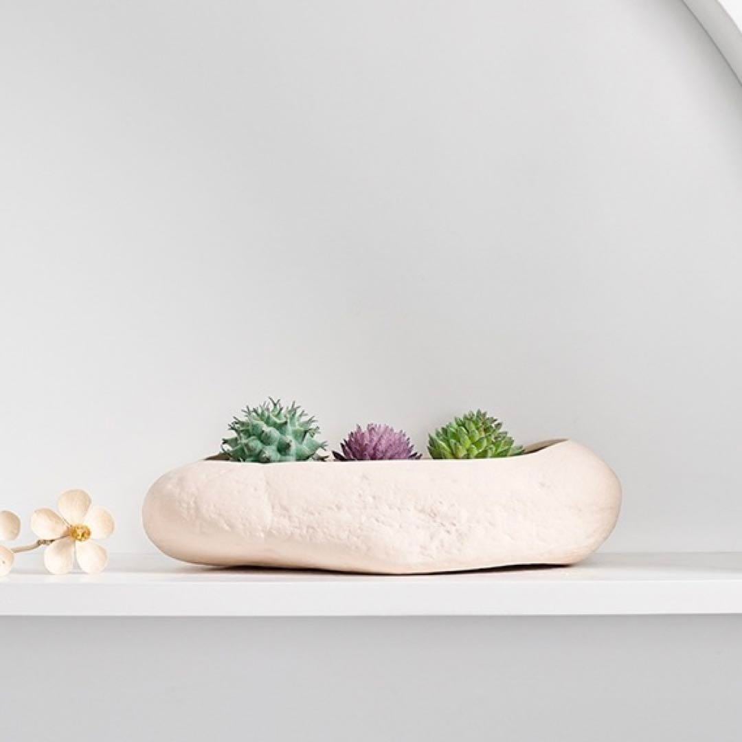 【即納】サボテン 多肉植物植木鉢 寄せ植え  陶器 北欧 観葉植物 プランター 横長