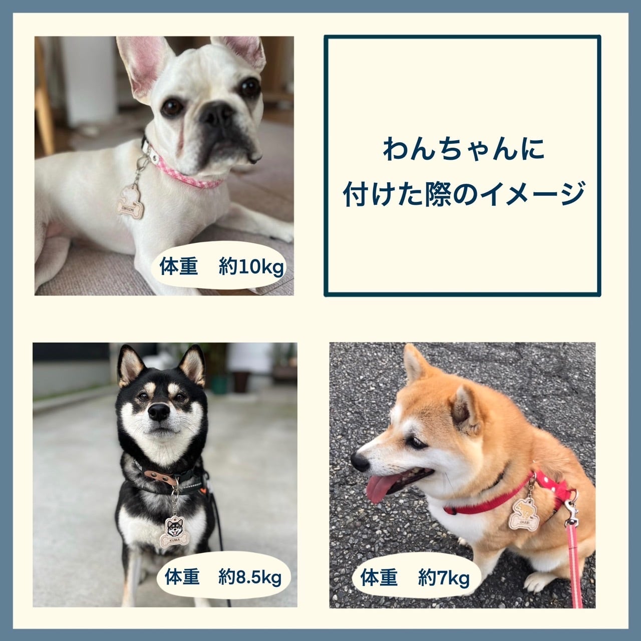 OTE SERIES】キーホルダー | INU NI SOMARU｜ 犬に染まる・犬の刺繍