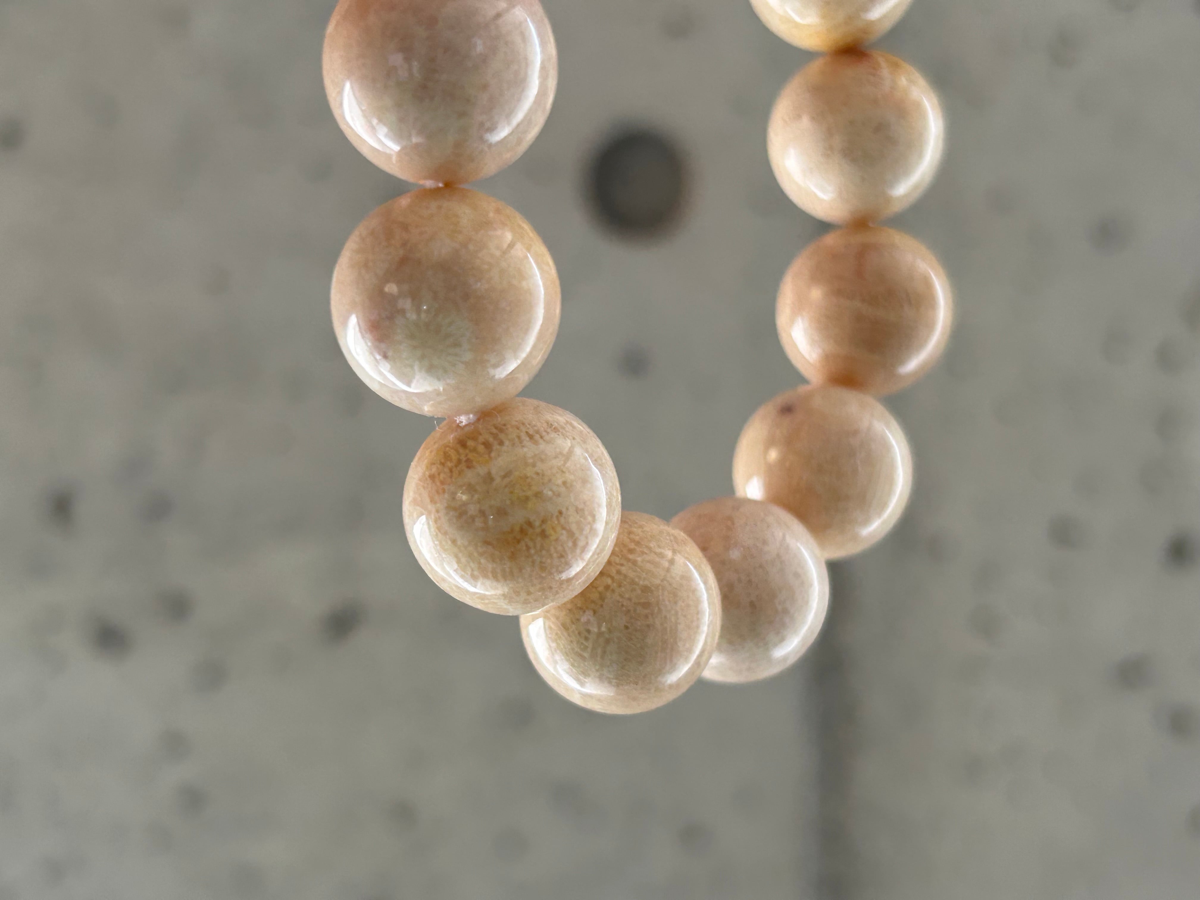 白妙◆パープルフォッシルコーラル フォシルコーラル | salut!