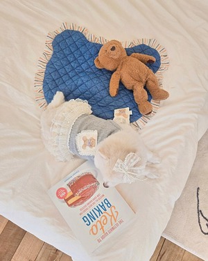 予約  【pecoramou select】Teddy bear denim  mat