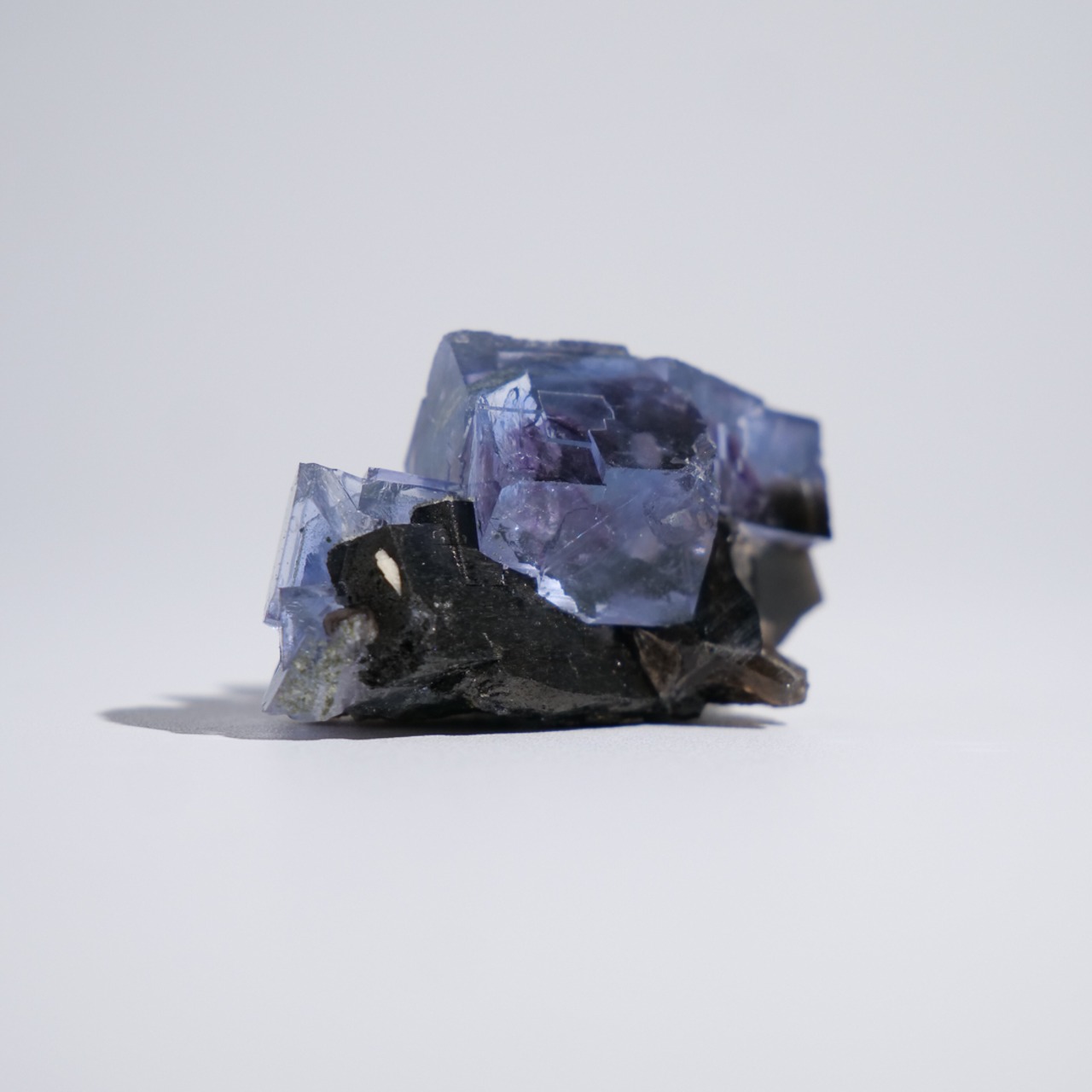 フローライト 共生 中国・ヤオガンシャン産 / 原石 標本【F_2】