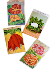 20s フランス 4set 膨満な花々と野菜たち 種子袋用ラベルa アンティーク