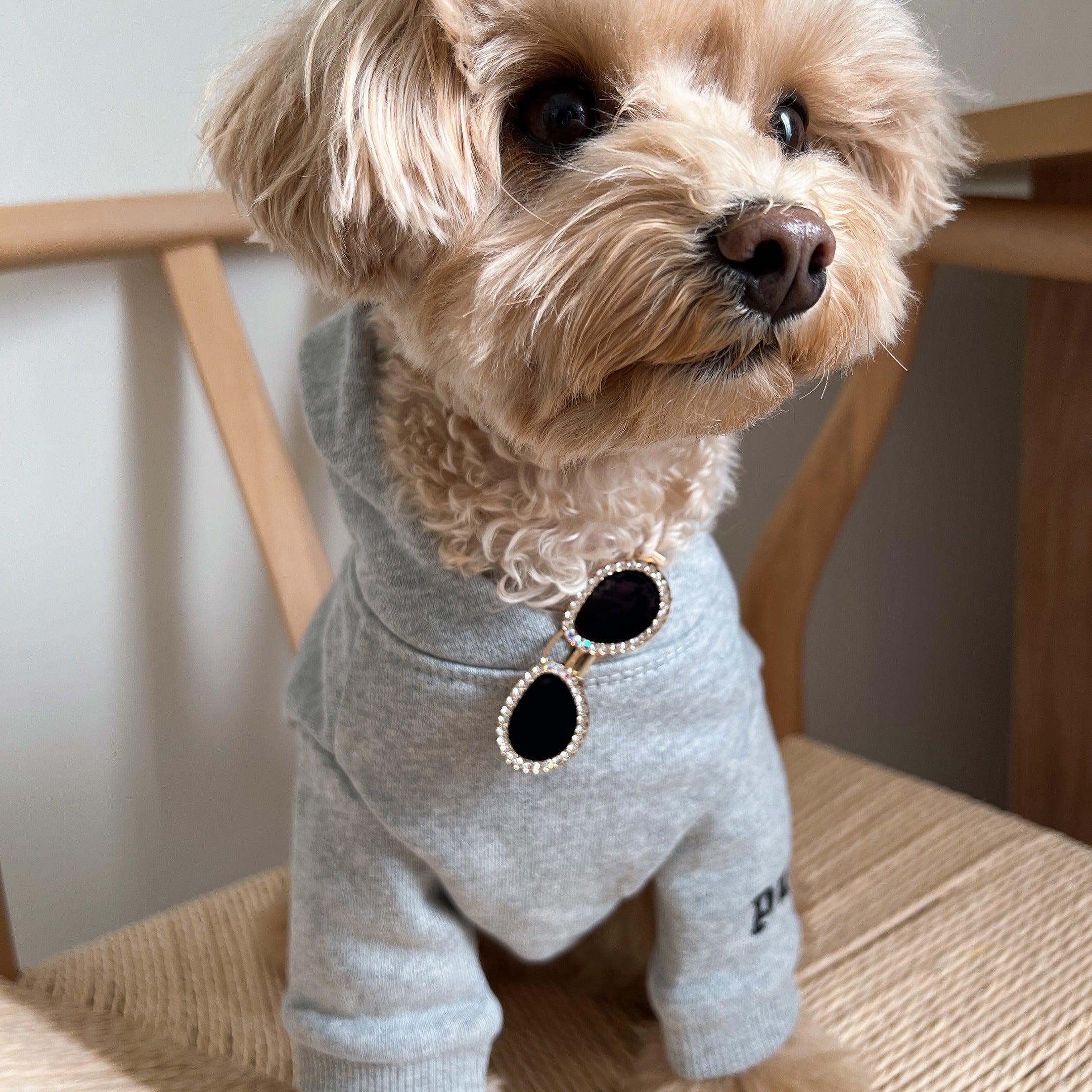 キラキラサングラスパッチン