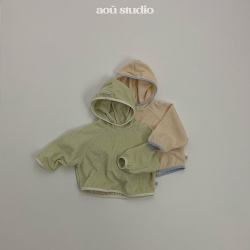 aou studio［取寄］easy hood tee 26spring