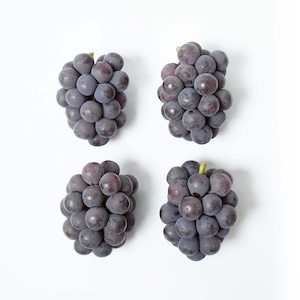 オーロラブラック【Eco】2.0kg