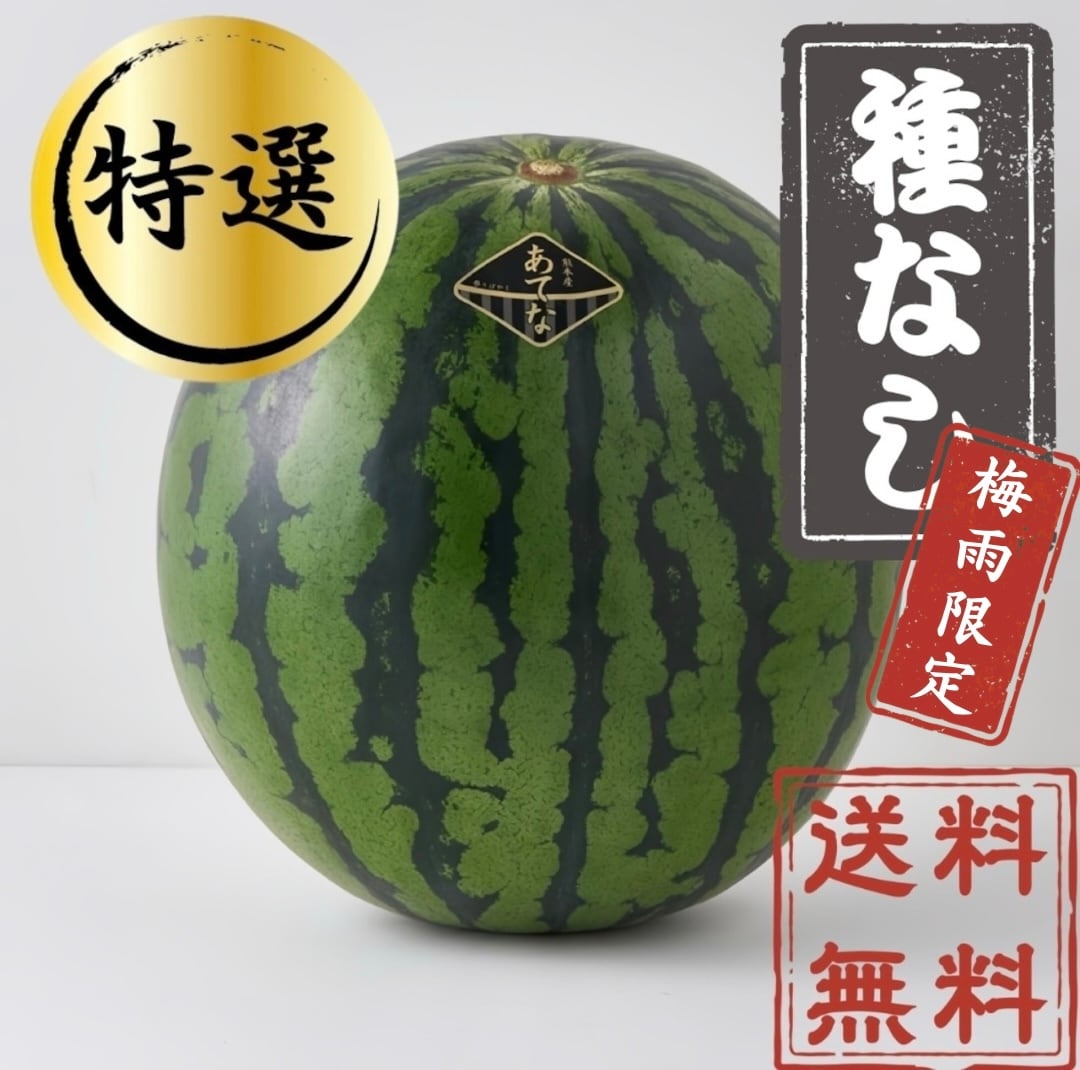 熊本県産 あてな【上選】 | 石戦（SEKISEN）