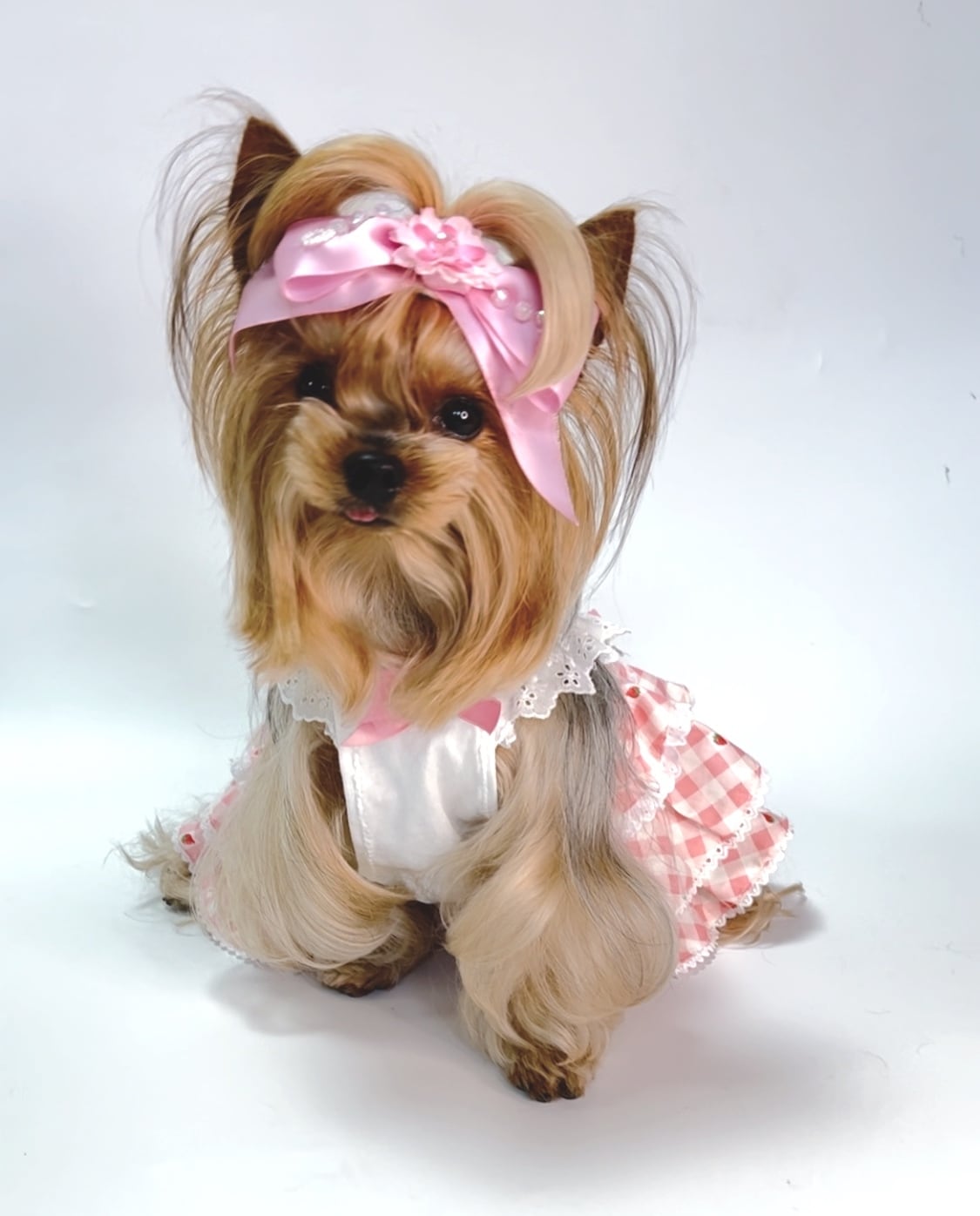 犬服オーダー☆イチゴ柄3段フリルワンピース☆ | dogdress Ari*Ra