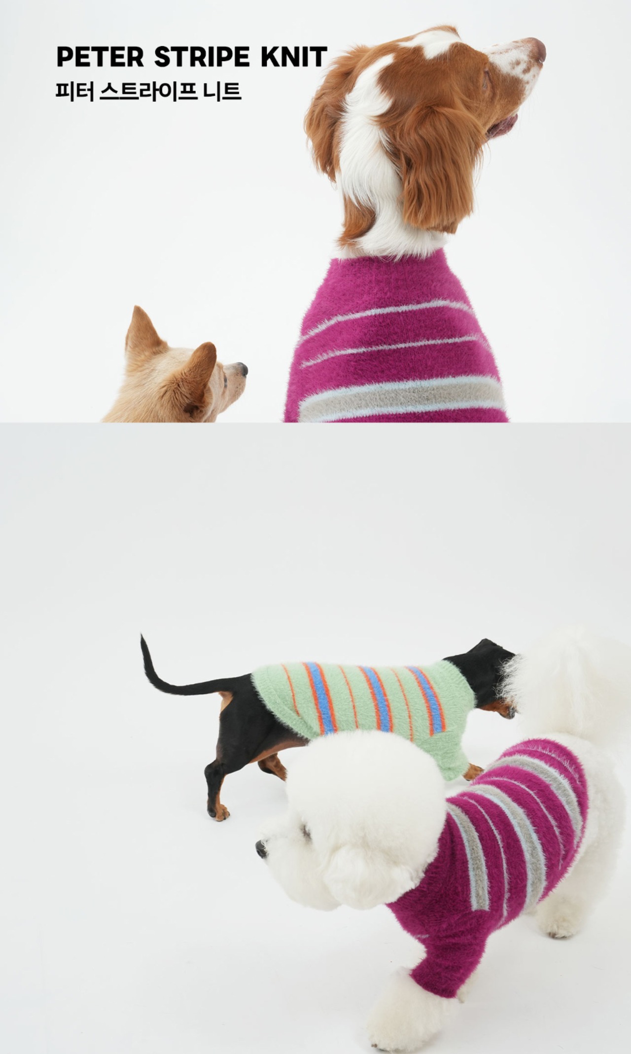 【PUPPYGALLERY公式】ピーターストライプニット【ワインレッド】2XL/3XL