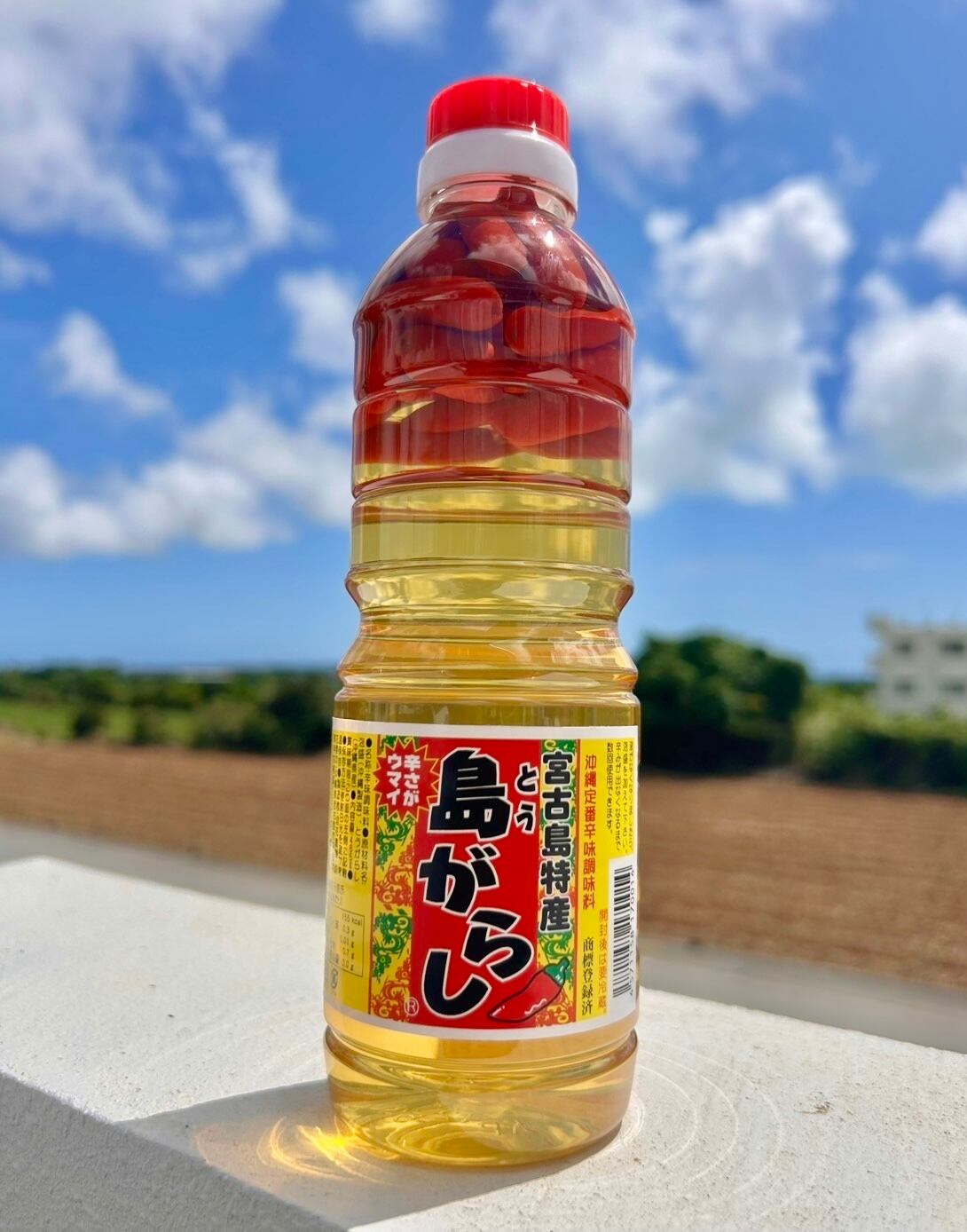 入荷！】伊良部島特産「かつおの塩辛」300g | 宮古島の良い物をお届け
