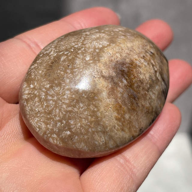 癒しの音を奏でる石【香川産 サヌカイト】石琴 カンカン石 ① 鉱物 天然石 パワーストーン