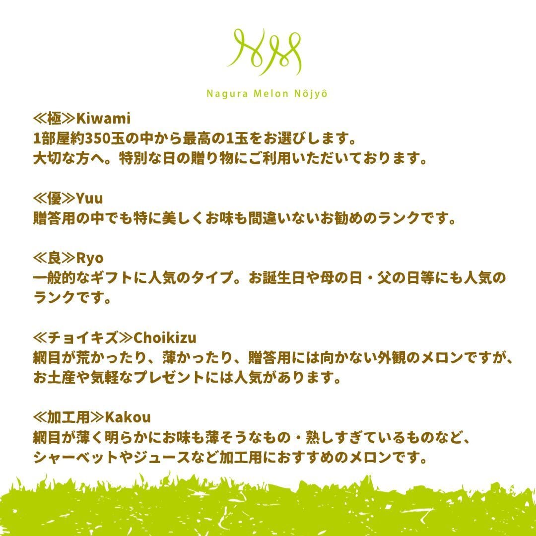 贈答用メロン優(Yuu)Mサイズ（2月18〜22日発送予定） | 名倉メロン農場