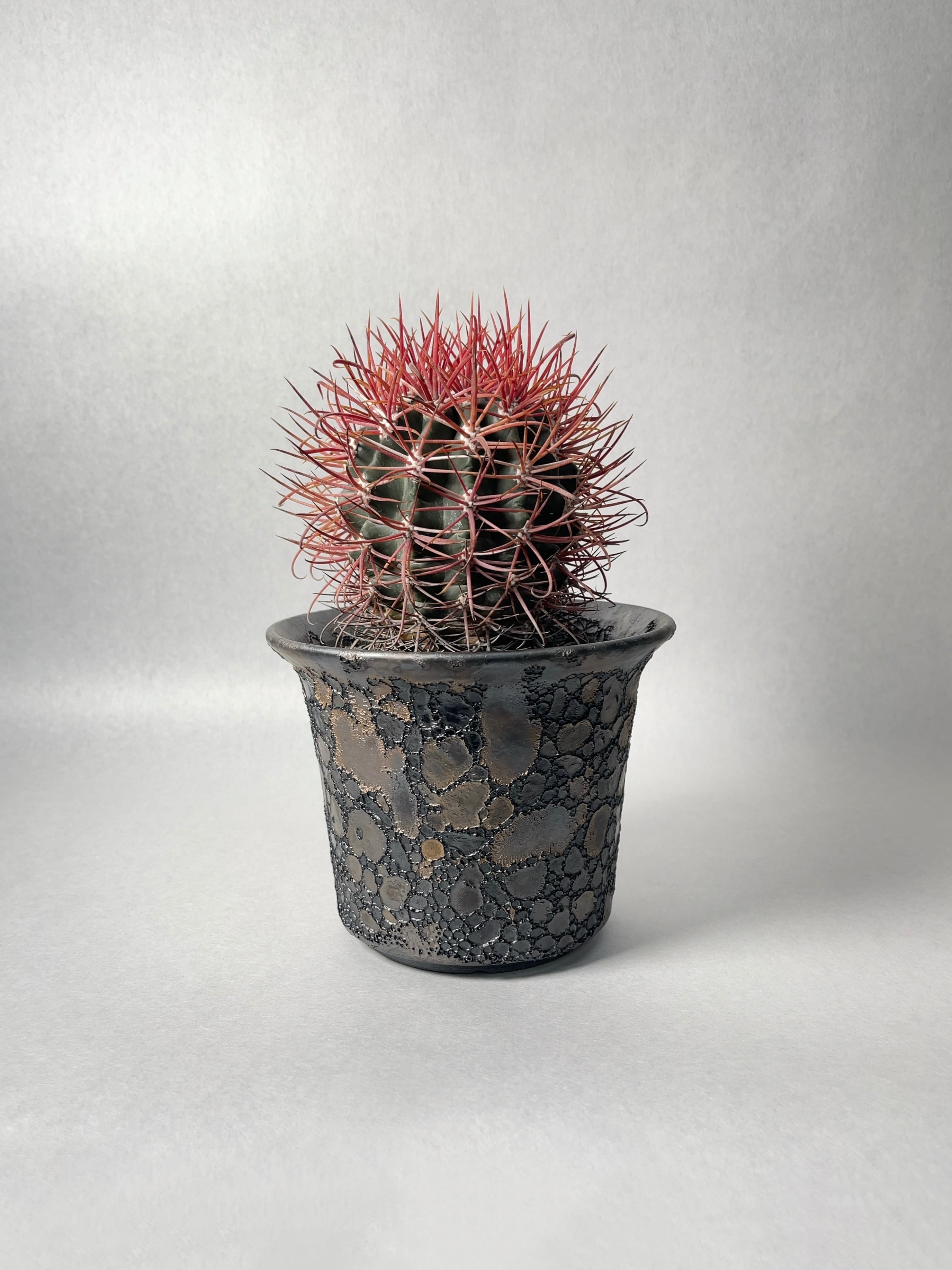 cc525464f336154c805f786d8fd407