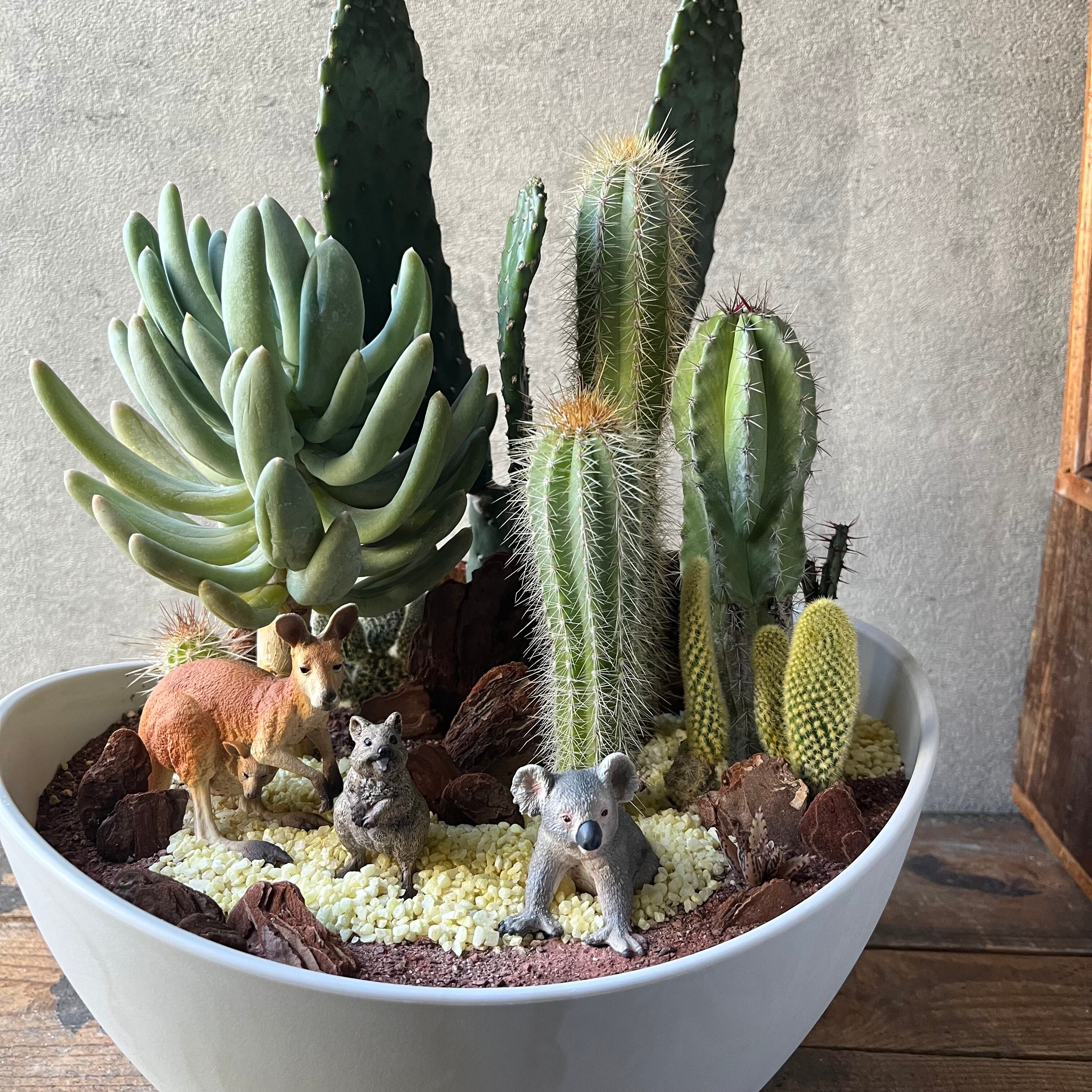 AUSTRALIA ISLANDS | SABOTEN MISSILE