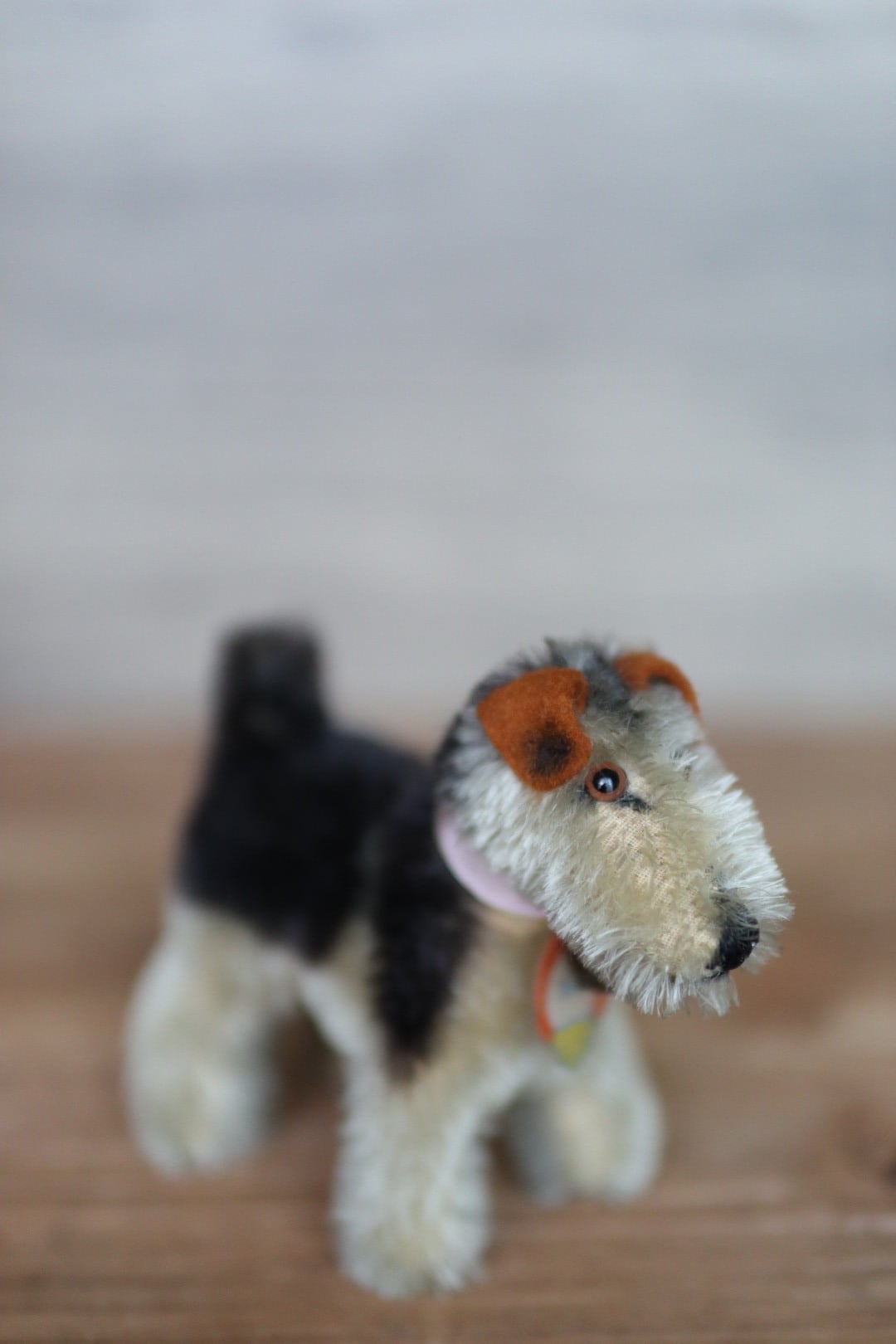 アンティーク シュタイフ 犬 エアデールテリア Terry