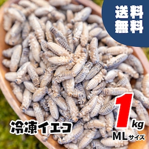 ML 1kg(約3400匹) 約1.5-2cm 冷凍イエコオロギ