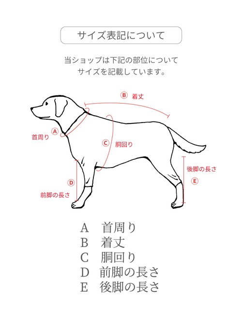 サイズ表
