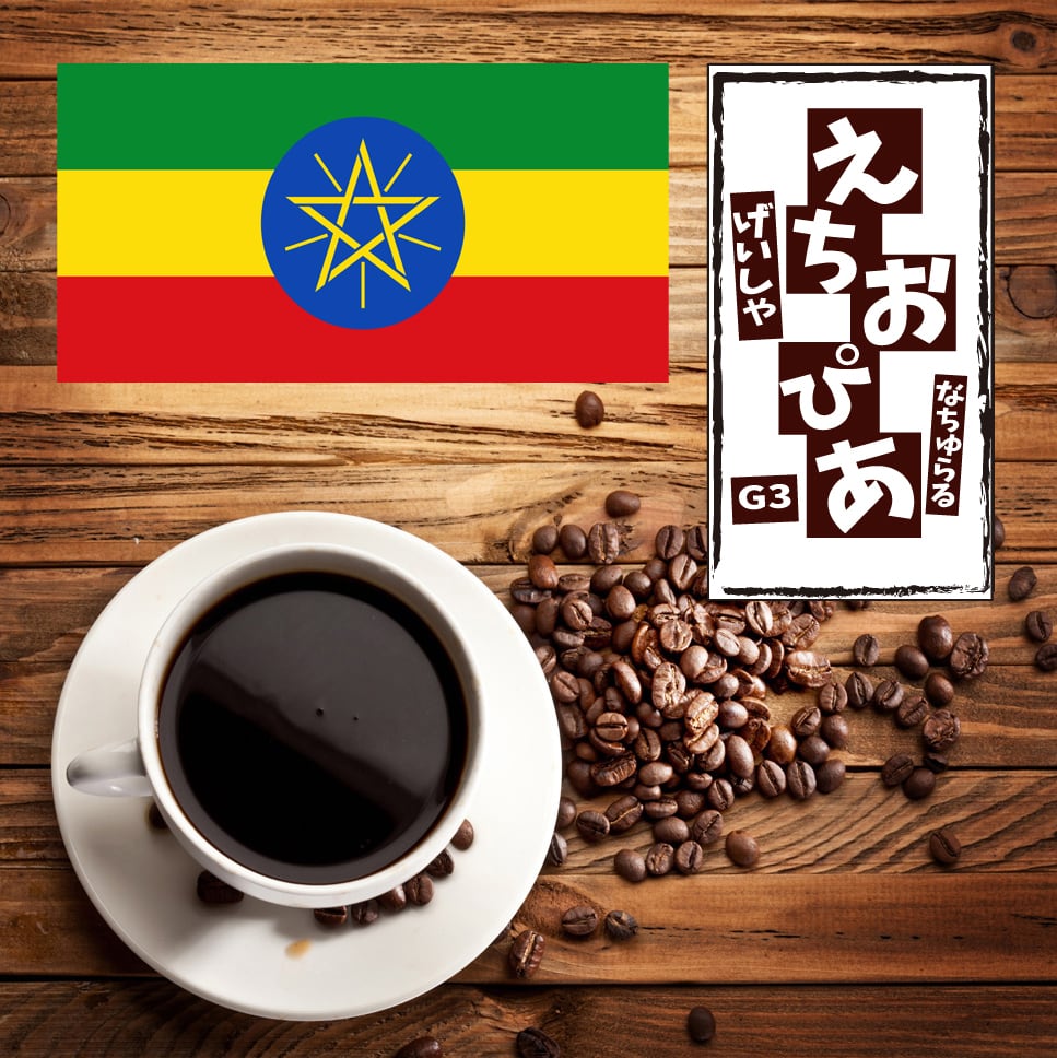 エチオピア ゲイシャ G3 ナチュラル 200g | 自家焙煎珈琲豆 千葉酒店
