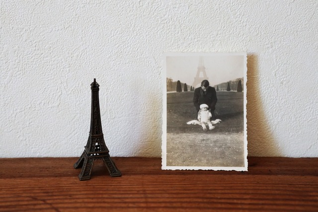 France  エッフェル塔とある家族の風景