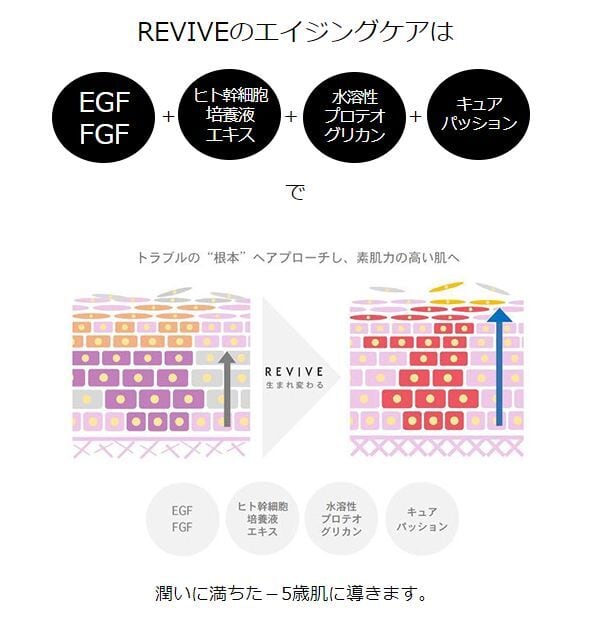 REVIVE VCP12 エッセンス 50ml | BeautyPlusビューティプラス