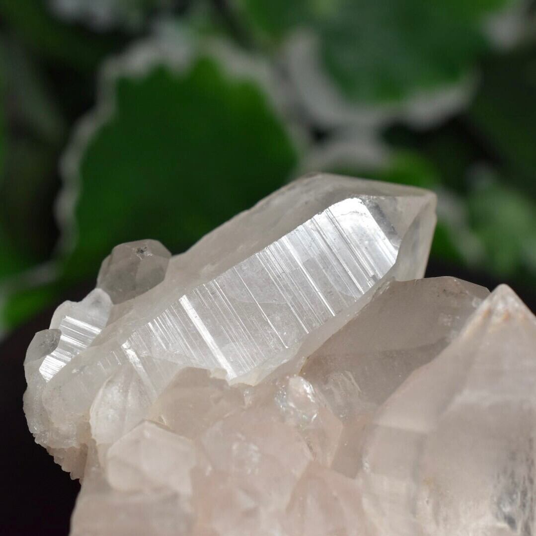 水晶 クラスター インド・マニカラン産 HQG08 | EBIA Crystal