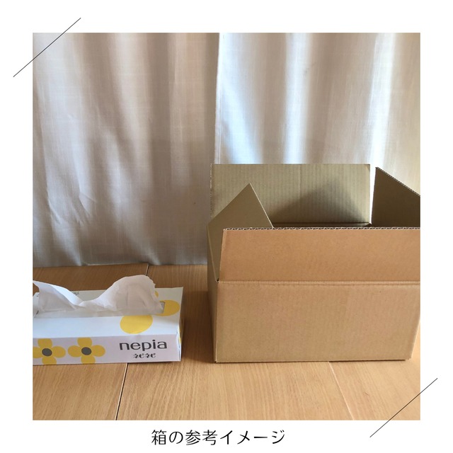 【11月より再開予定】＜木曜日に収穫・発送＞【まんなかサイズ】季節のお野菜セット