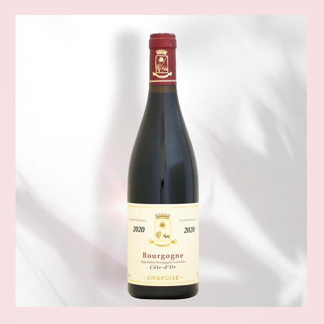 Bourgogne Cote d’Or Rouge 2020 / ブルゴーニュ・コート・ドール 2020