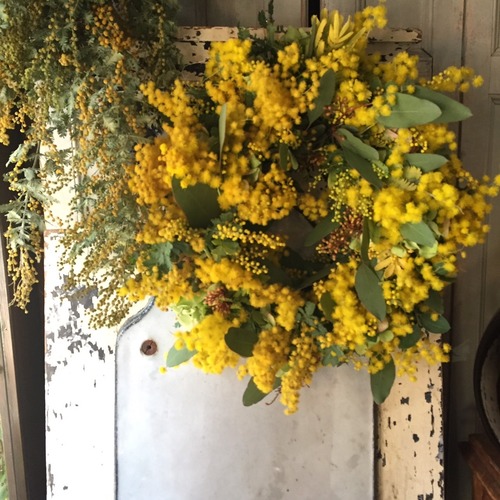 Wreath mimosa (ミモザのシンプルリース)