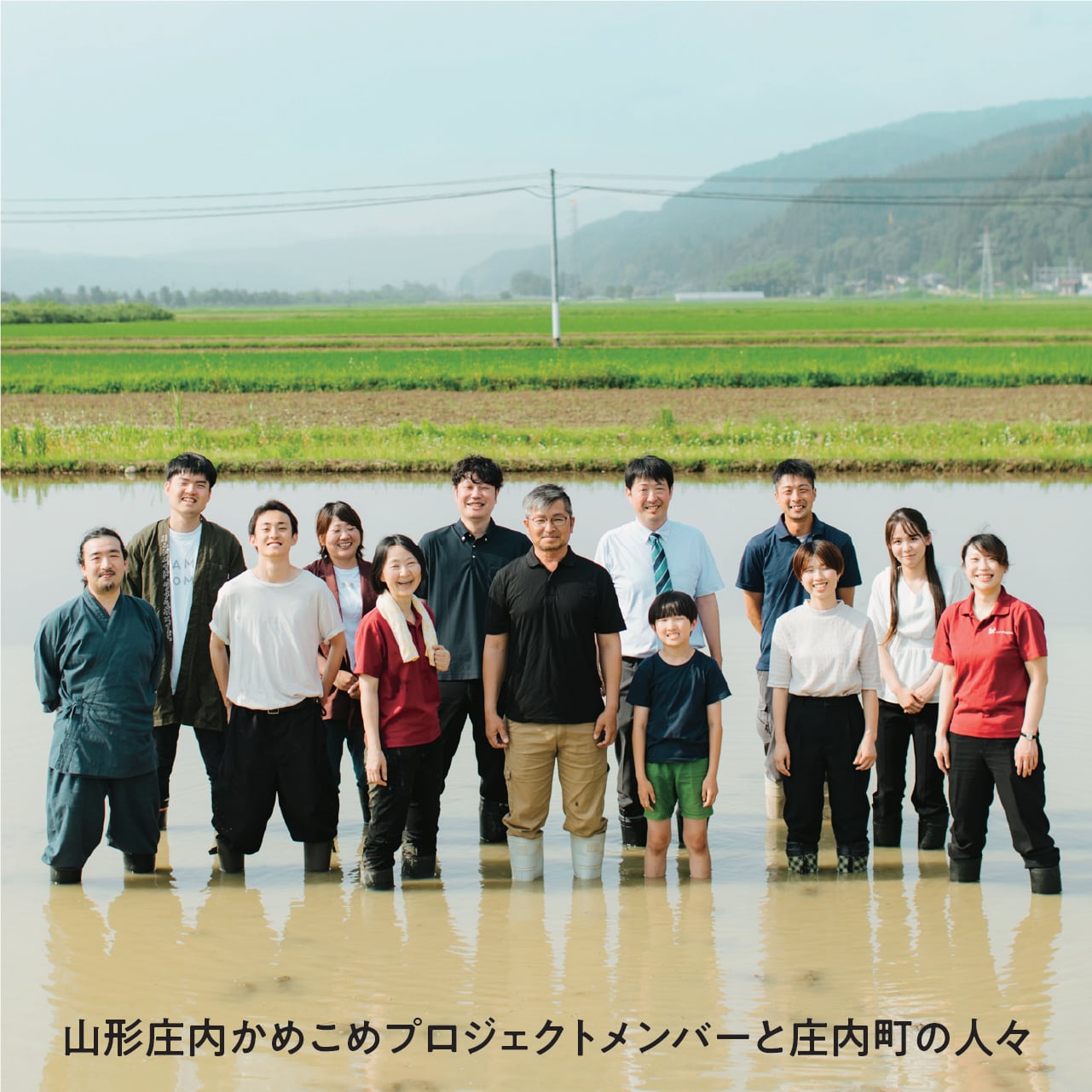 【山形】「お米の家系図」クリアファイル