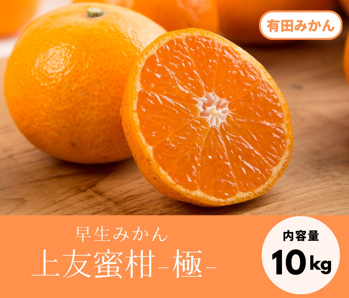 上友蜜柑-極-【早生みかん・10kg】