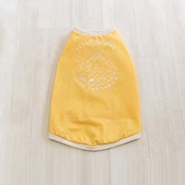 YELLOW STONE