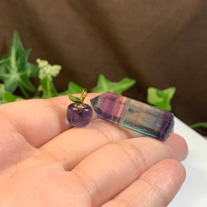 フローライトねこちゃんの集い場・フローライト