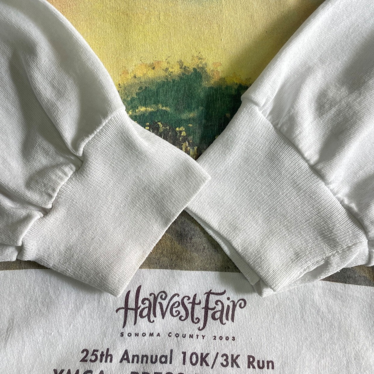00年代 Harvest Fair 10K/3K Run アートプリント ロングTシャツ メンズ 