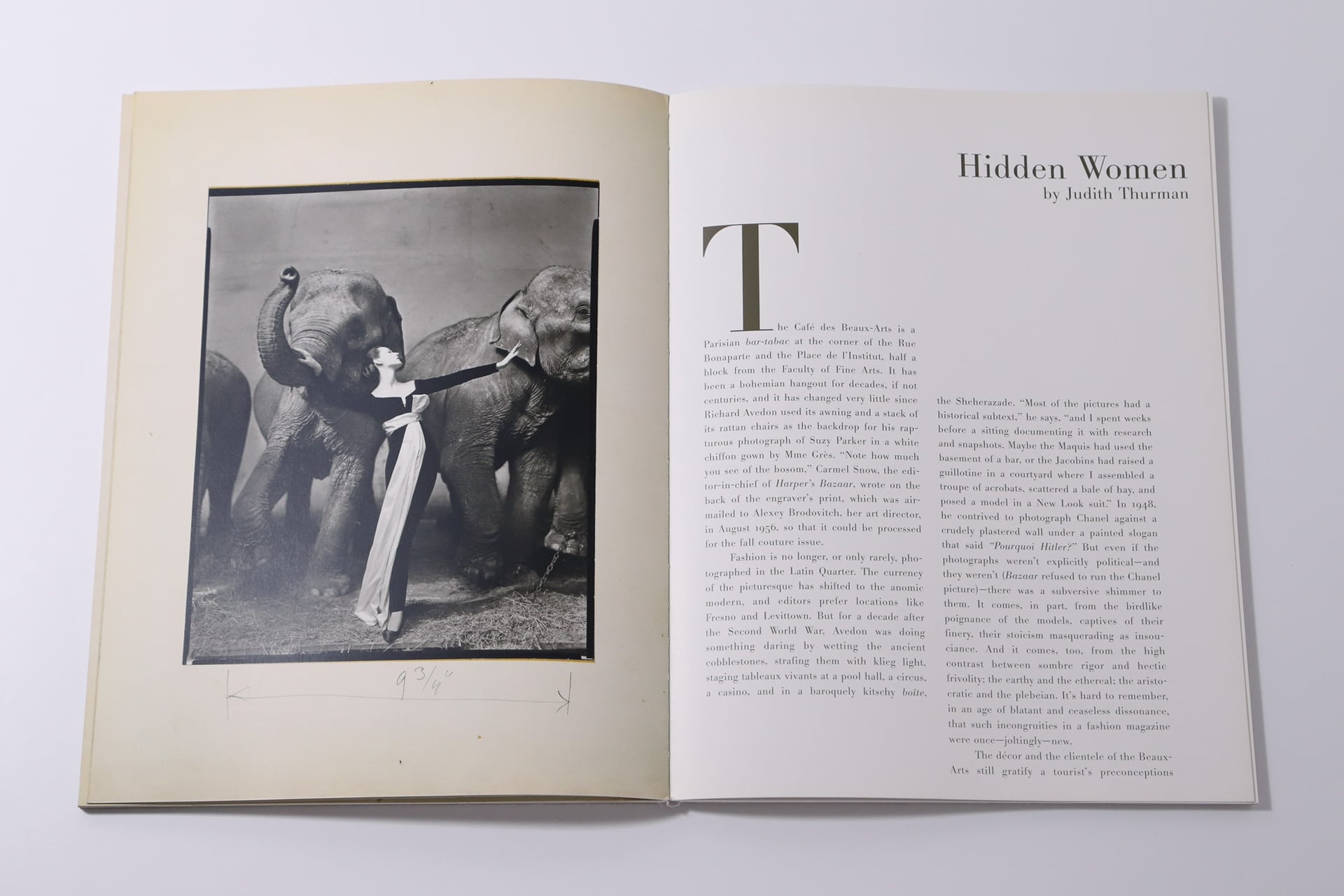 Made in France / Richard Avedon | CROSS_BOOKSHELF | VISIONAIRE(ヴィジョネア)古本販売 powered by BASE