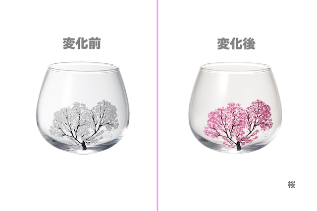 【0752-060-02】『冷感桜　ゆらゆらグラス』『単品』『桜』*春 桜 平盃 母の日 父の日 花見 贈り物 温度 変化 日本酒 乾杯 記念 ギフト プレゼント お祝い