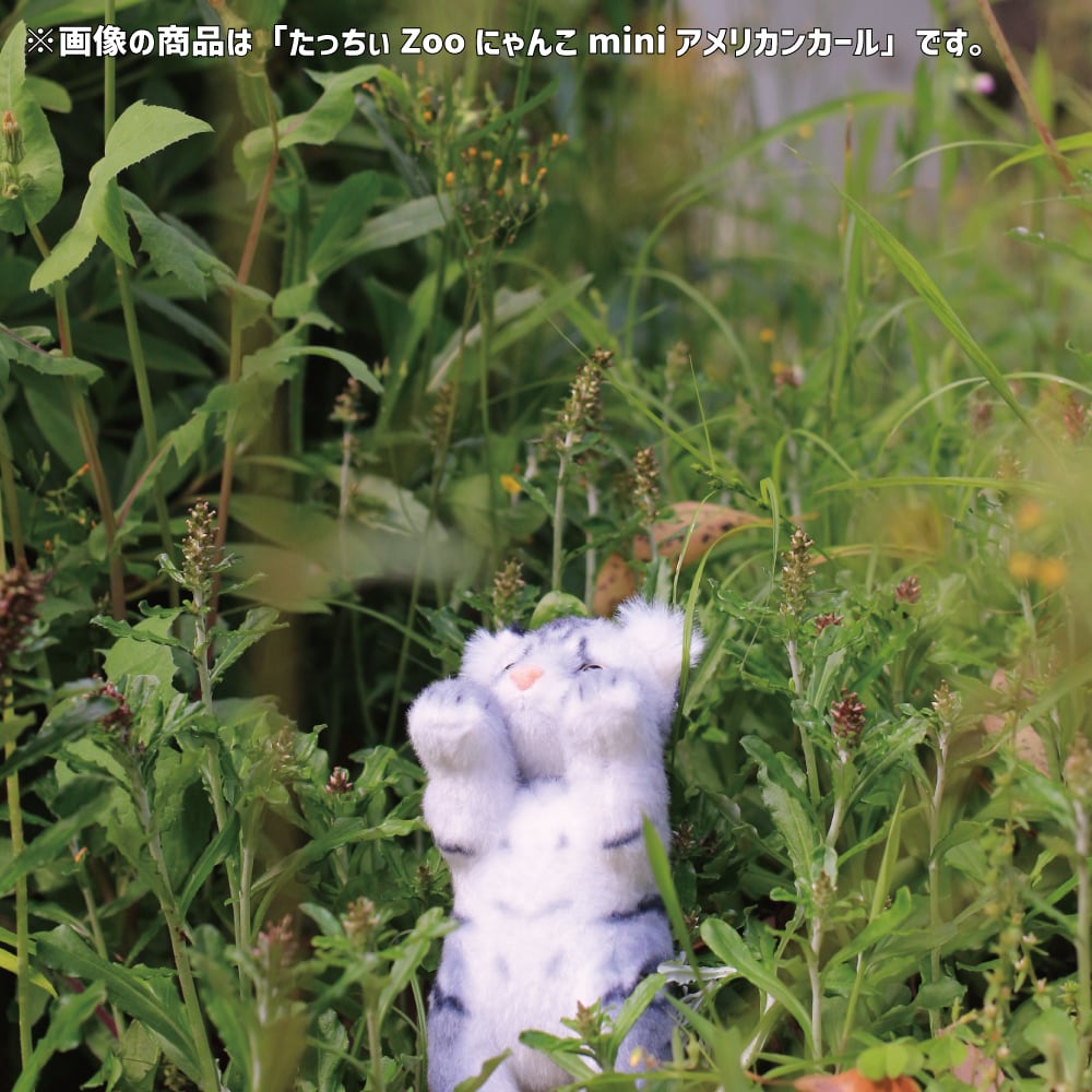 cc8043df0ccd7a297952f8b8a1f9d9