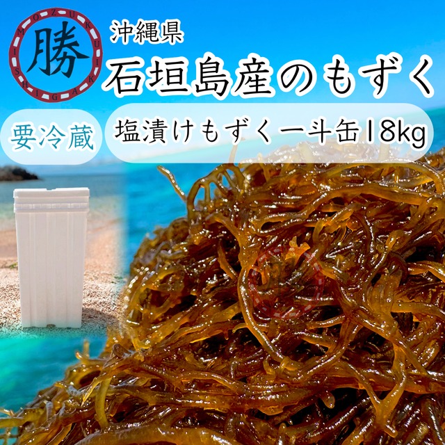 予約販売2026年度沖縄県石垣島産 塩もずく（塩漬け）一斗缶18㎏（大容量）▶︎要冷蔵┊︎ 圧倒的ボリューム！保存に嬉しい「塩漬け」