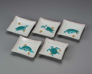 皿揃え 海亀の絵
