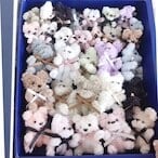 ☆モールメンバー☆ 『モフモフモールくまオールスター全カラー30体