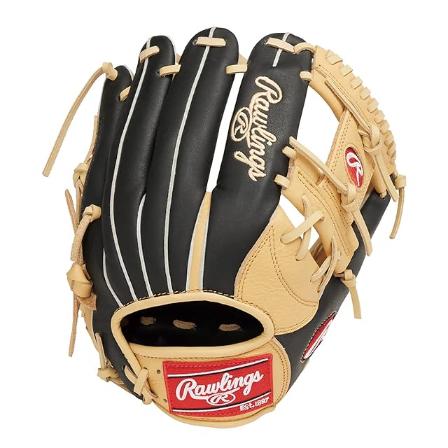 特別版】ローリングス(Rawlings) 大人 一般 野球 グローブ GRXASPLN55