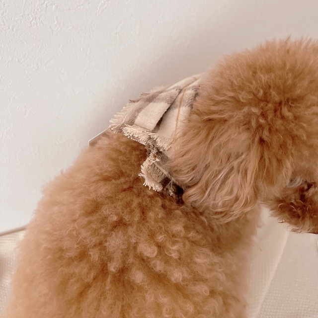 愛犬が飛んでも跳ねても 「整う犬用マフラー」　(3color)