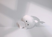 Kaninchenのあの子 じぶんさんぽ