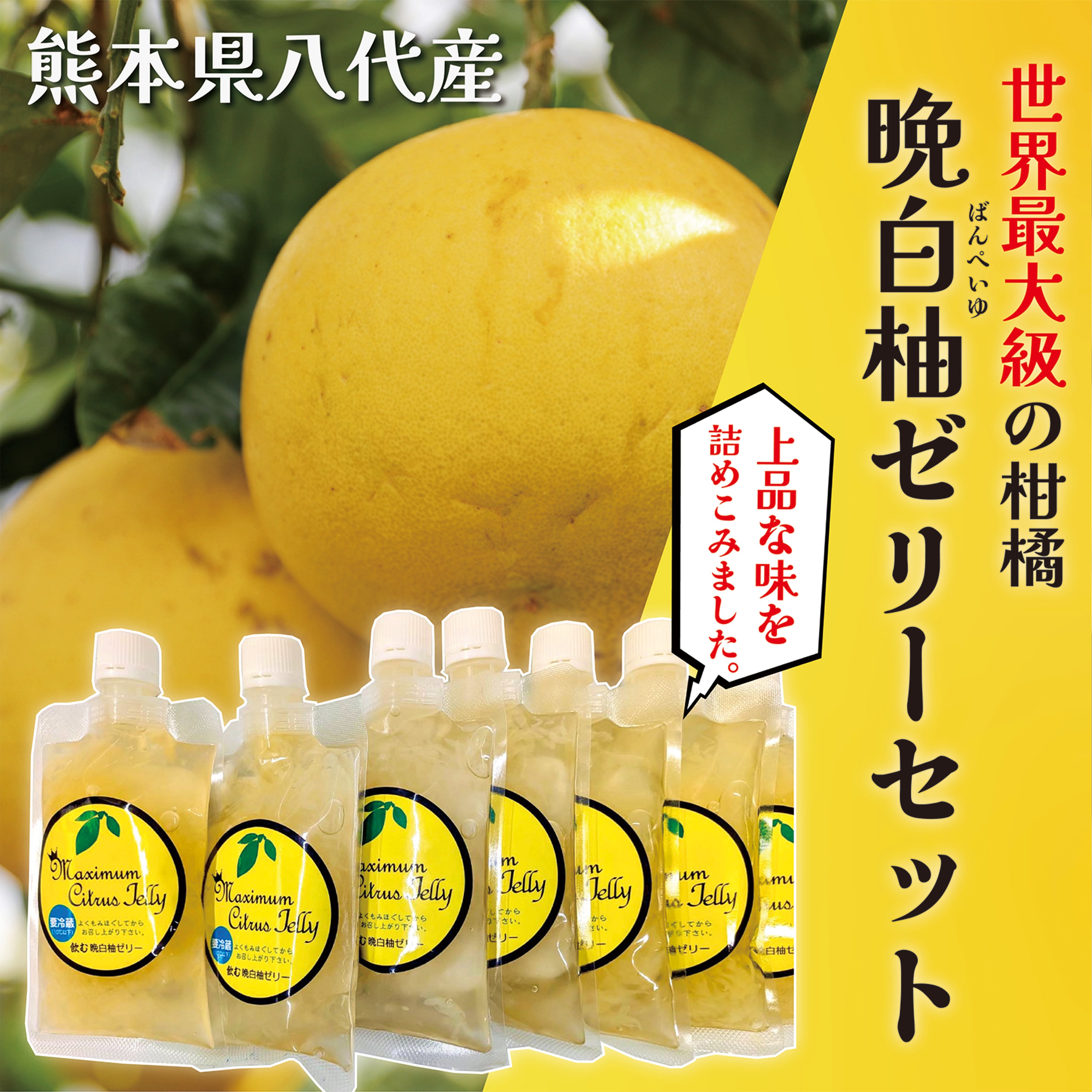 送料無料》【熊本県八代産】晩白柚ゼリーセット《晩白柚飲むゼリー